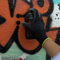 Sprühlack | MTN ALIEN | Black & White | 250ml