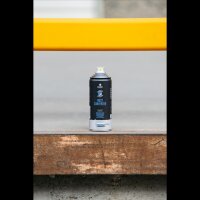 Rostumwandler Spray | Epoxidharz Rostkonverter | überstreichbar | MTN