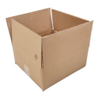 Versandkarton | 2-wellig | 310x310x150 | gebraucht | 1 Stück