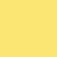 Montana Cans BLACK Extended | 600ml | Easter Yellow