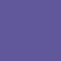 Montana Cans BLACK Extended | 600ml | Royal Purple