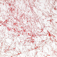 Sprühlack Montana MARBLE | Marmor Effekt | Rot | 400ml