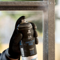 Sprühlack | MTN PRO | Edelstahl Farbe | Rostfrei | 400ml