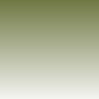 Sprühlack Montana GOLD | Transparent | Olive Green | 400ml