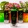 Sprühlack MTN PRO | Fluoreszierend | 400ml | Farbauswahl