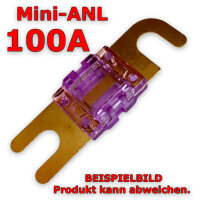 MINI-ANL Sicherung 100A 12V 24V M5 30mm MIDI...