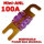 MINI-ANL Sicherung 100A 12V 24V M5 30mm MIDI Batteriesicherung