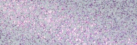 Glitzer-Farbmuster Amethyst