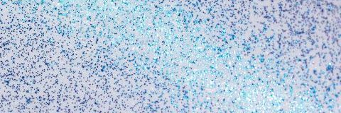 Glitzer-Farbmuster Cosmos