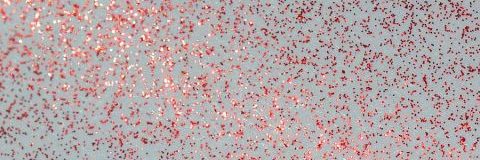 Glitzer-Farbmuster X-Mas Red